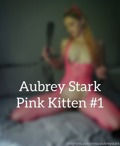 Aubrey Stark top pornstar galleries