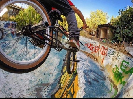 Minkiadura xxx hot star archive