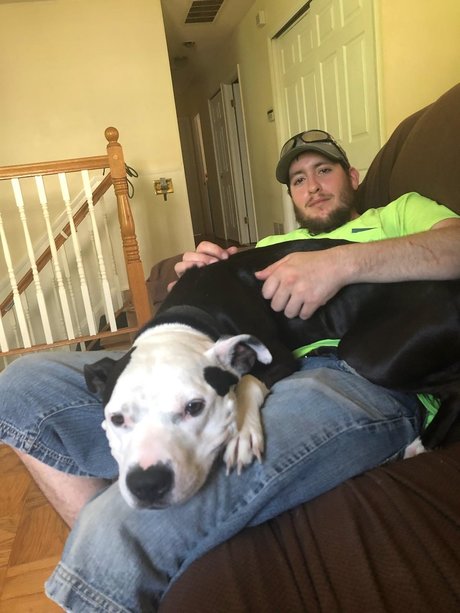 miller sexy pornstar pictures