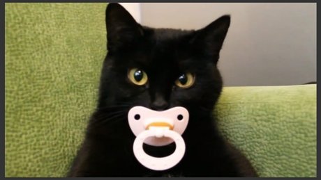 Erotic Taboo Literature 693 pretty star picture