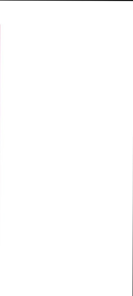 _KING DOM TOP_ model exclusive pictures