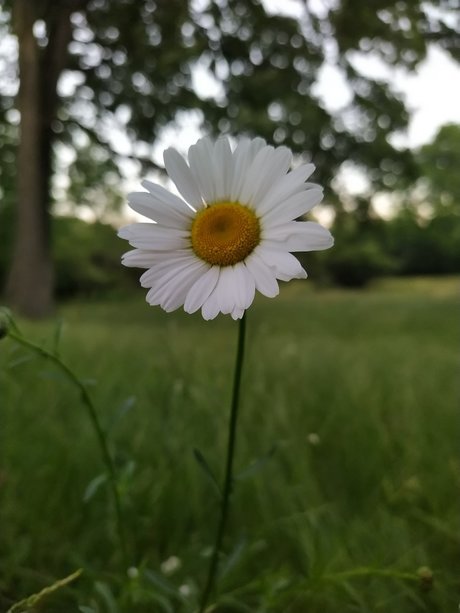 Zhu Li Moon star nude photo
