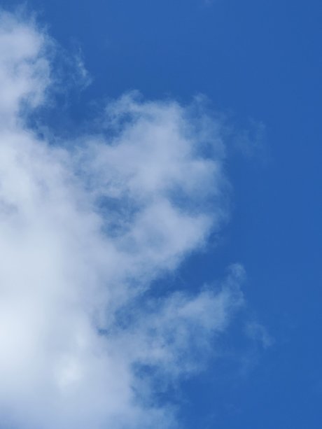 Miss Mimi model nudes pictures