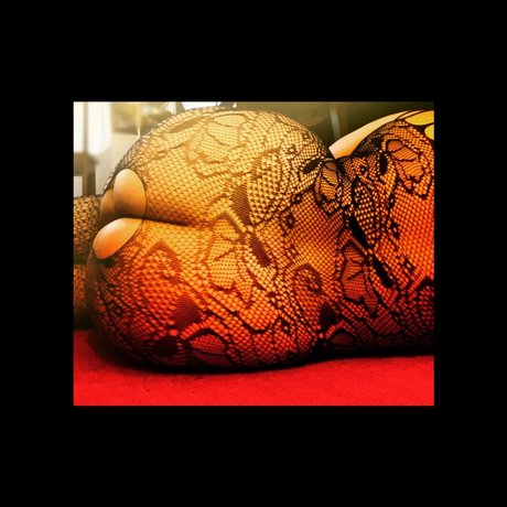 Layla Asher star best archive