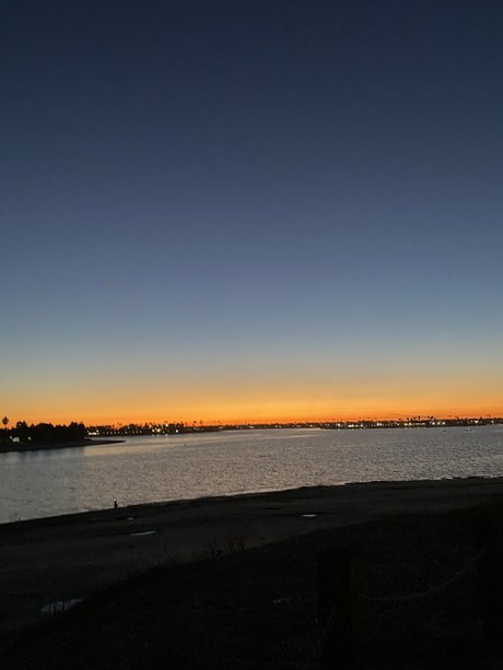 Miss Kitty_ hot star image