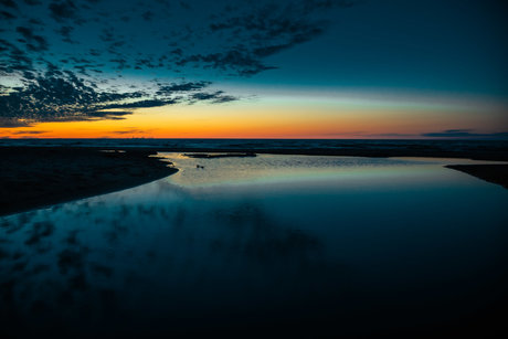 MissGrizz star nice pic