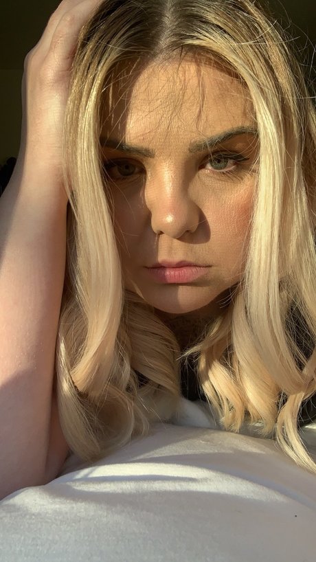 Kite high quality model photo