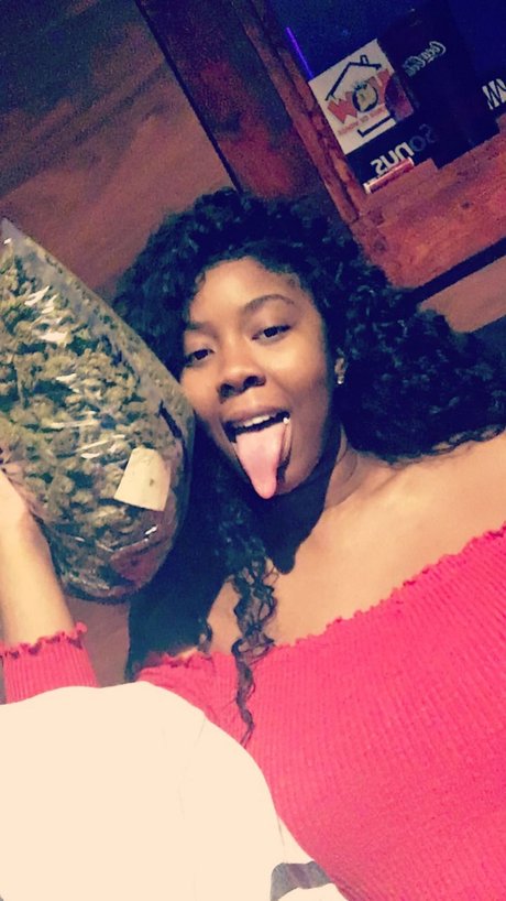 HoneyBun free star gallery