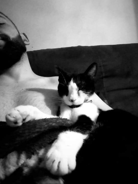 MrSerban hot star archive