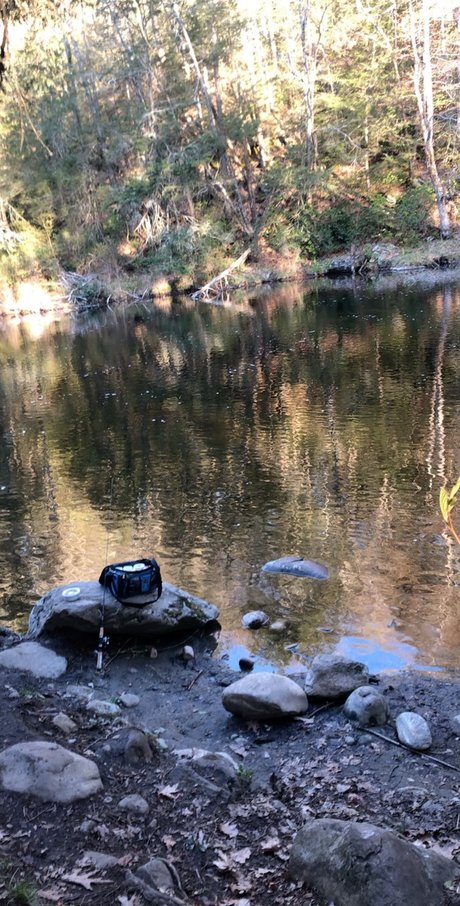 Mr Dominicano adult actress archive