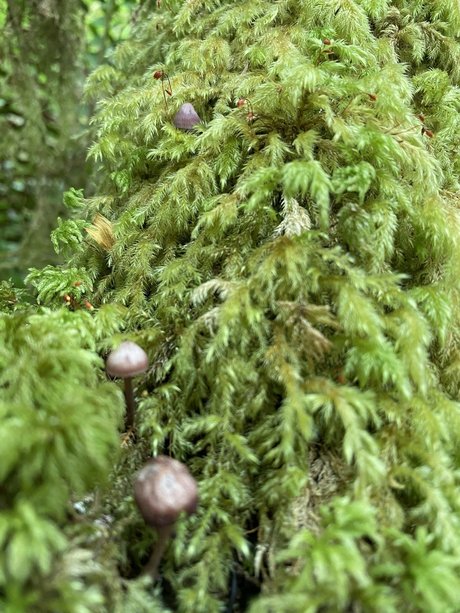 skinny ass onlyfans free xxx pictures