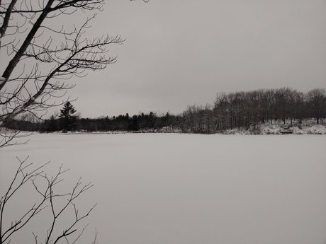 Morningblues girl pornstar picture