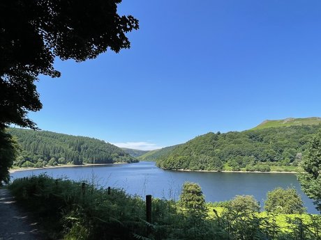 Morgs Olivia model exclusive galleries