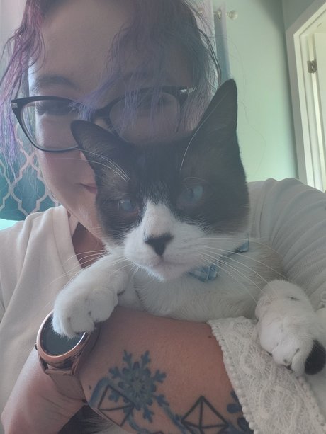 DanBi pornstar hd picture