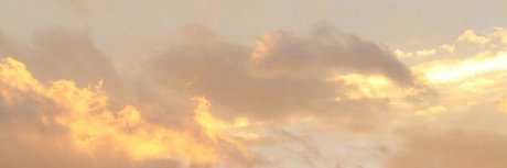 nelle_ pornographic model img