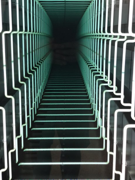 Neal star sexy archive