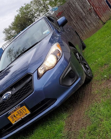 Ndg perfect model pic