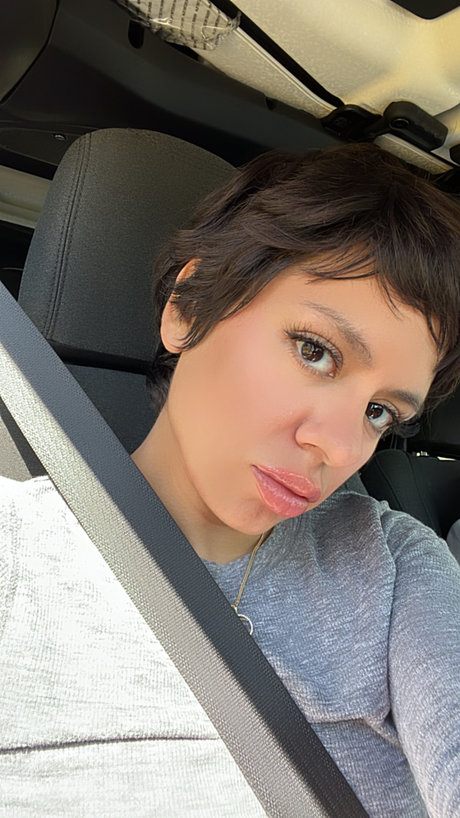 Nature cat nice star picture