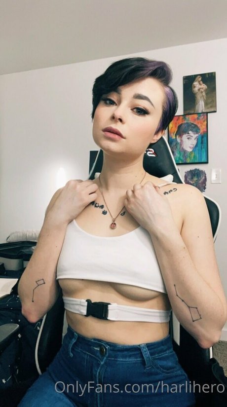 Harlihero art star photo