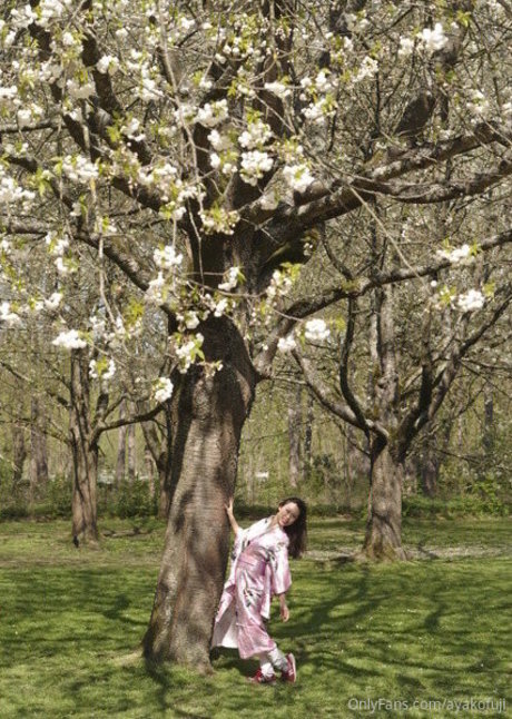 ayakofuji beautiful model archive