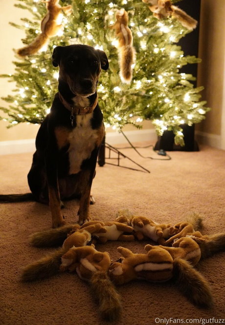 gutfuzz sex pornstar photos