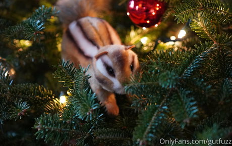 gutfuzz sexy star images