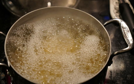 gutfuzz pornstar perfect images