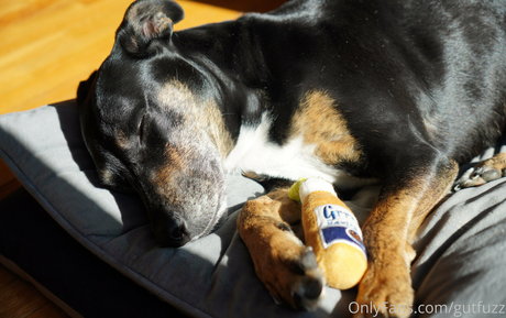 chubby babe onlyfans naked photo