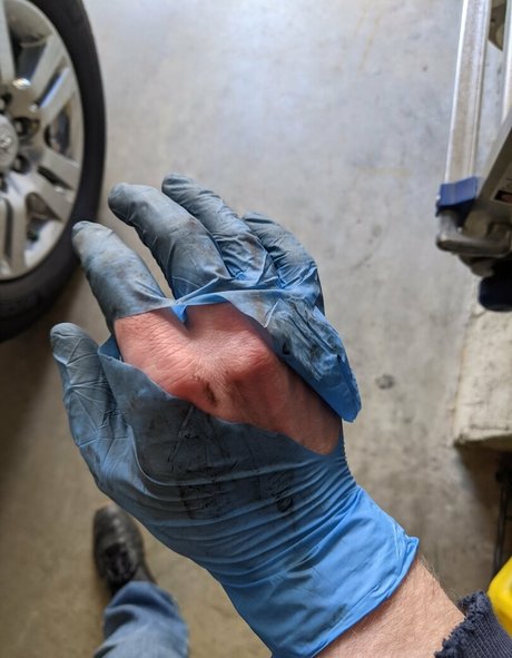 gutfuzz naked pornstar image