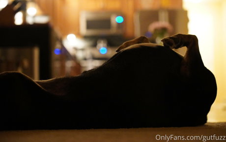 gutfuzz nice pornstar image