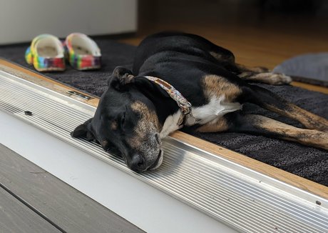 gutfuzz high quality actress galleries