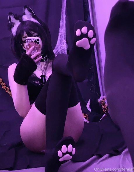 Babivmpr exclusive model archive