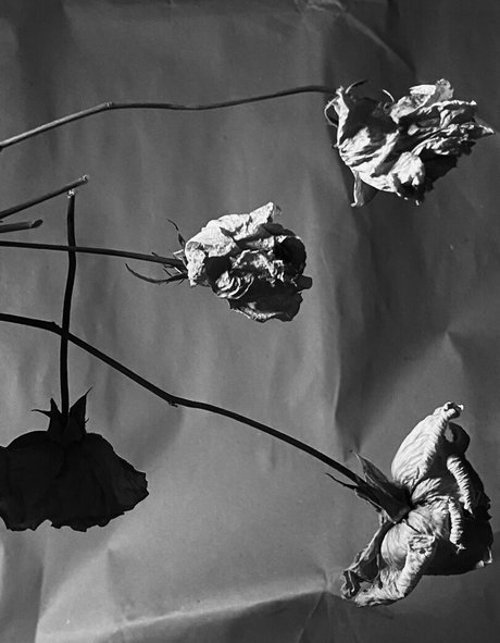 ivi ivinskaya star naked pic