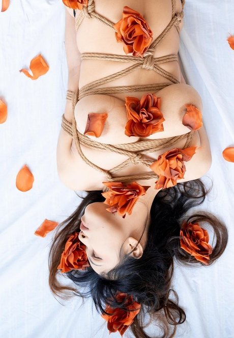 asian blowjob onlyfans free images