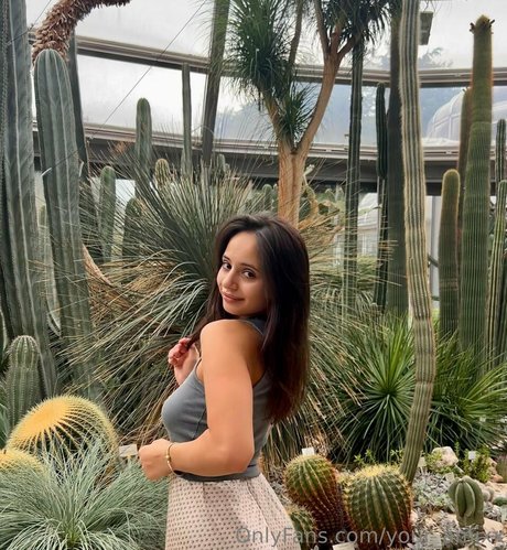 your amixx art star pics