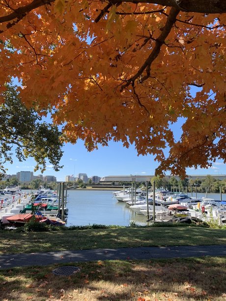 NYtoDC high quality actress gallery