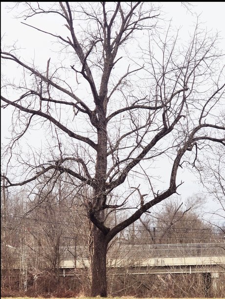 Lady Like That sexy model img