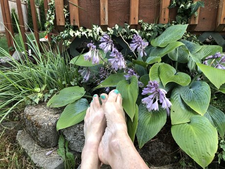 No Pussi Foot n Around top star galleries