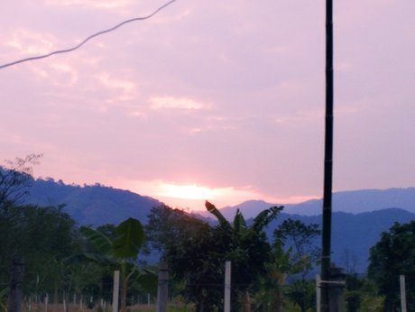 Niyin pornographic model pic