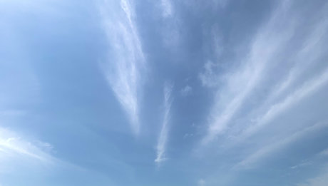 Nikki FREE inactive_ hd star pic