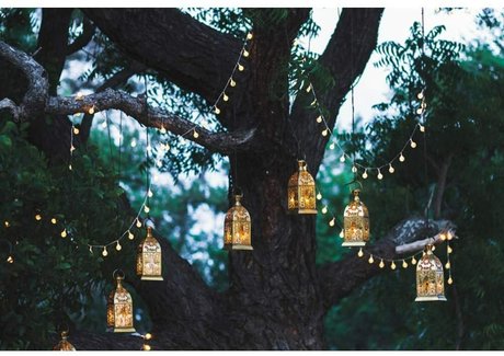 Tatted Feet nice actress pic