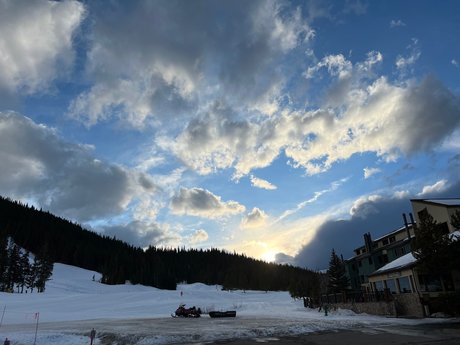 Oso de monta a model nice img