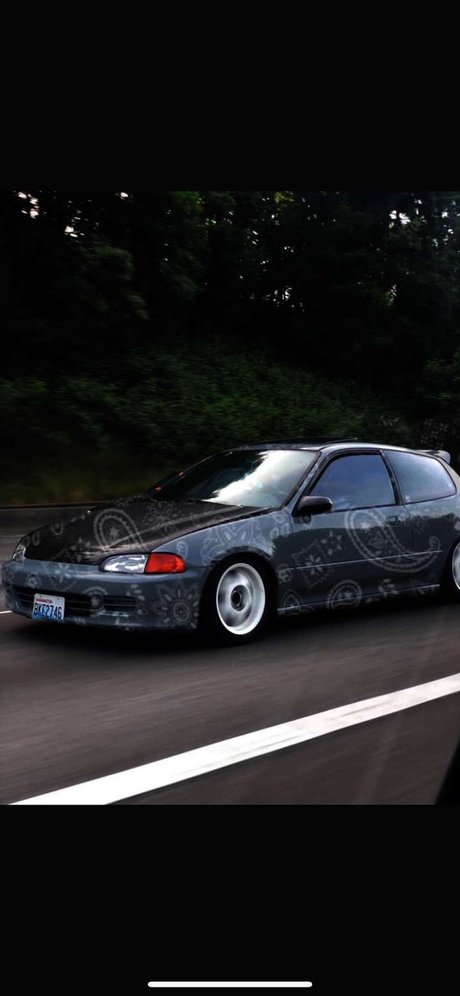 DaddyO nice actress image