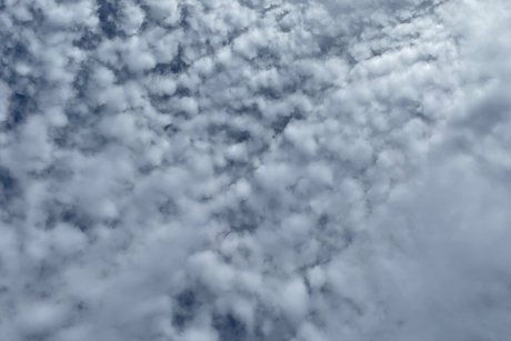 _SD_ pornstar top pictures