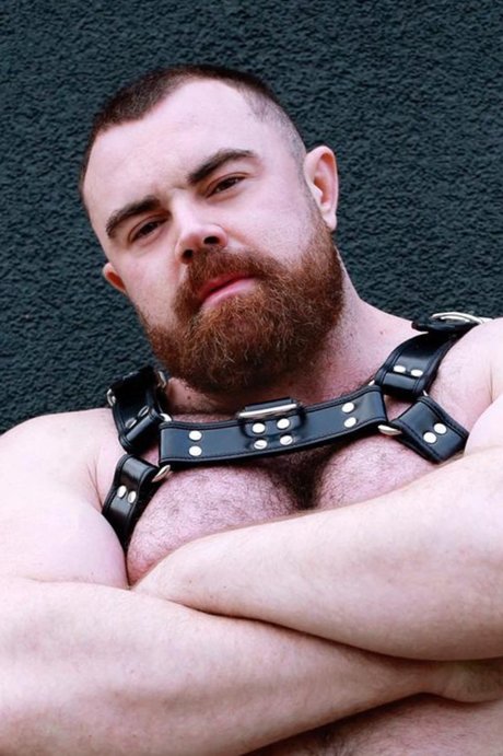 PJ KNOX VIP erotic actress img