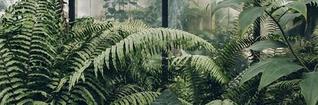 Pixie FREE_ star xxx pics