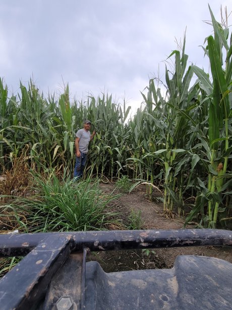 Jerry D Jervah Jr model free pics