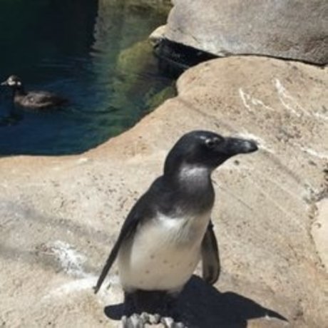 whosthere model pretty photo