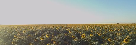 whosthere model art pic