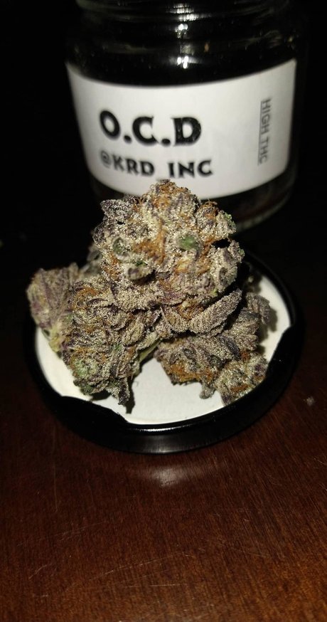 PimpinaintEz naked pornstar picture